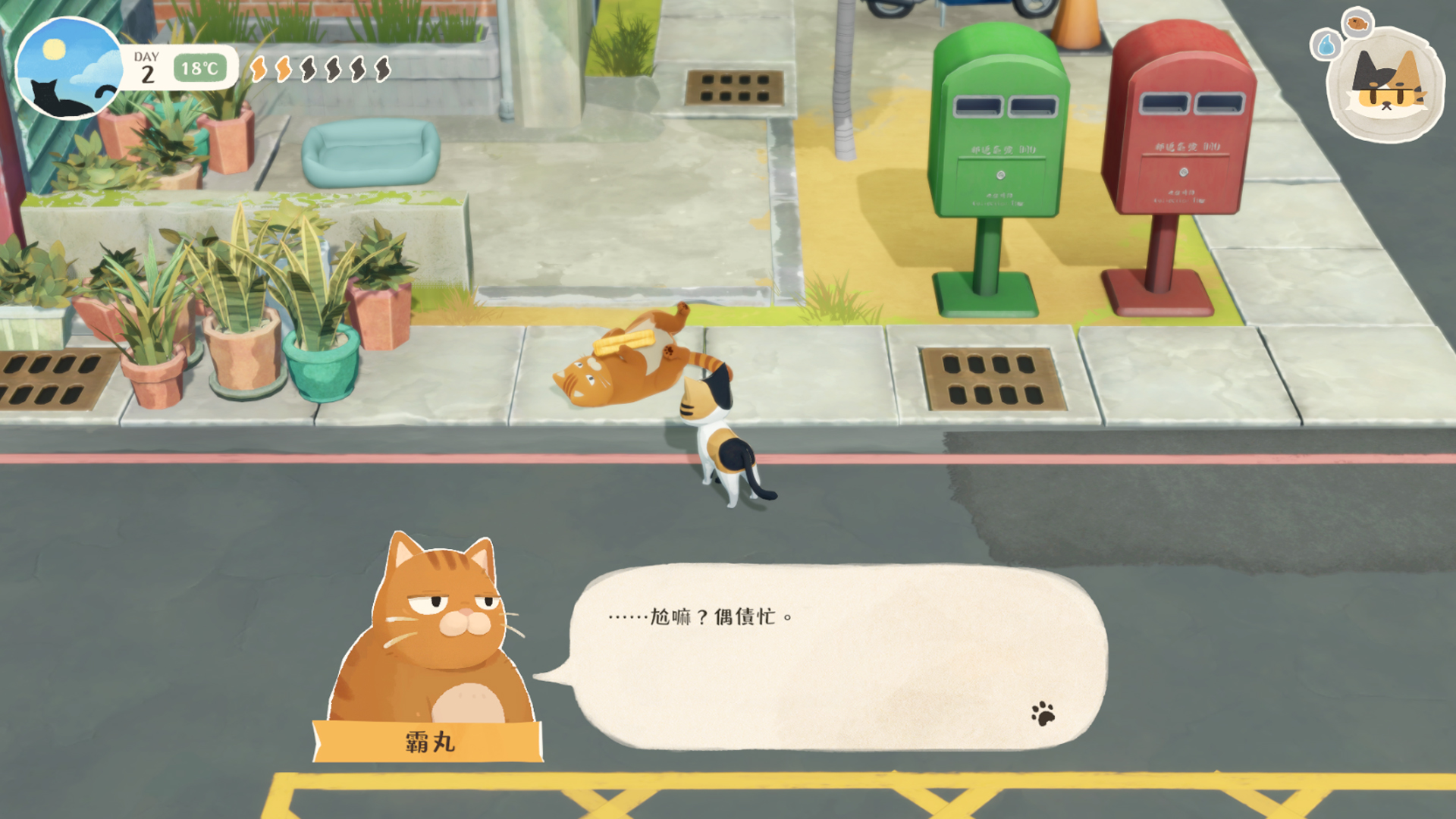 《喵的那些小事》遊戲畫面截圖 5